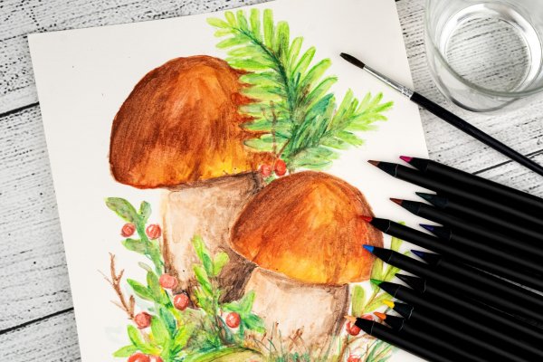 WATERCOLOR PENCILS