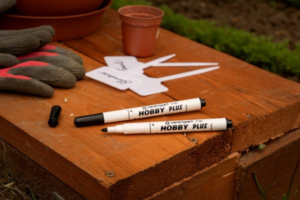 HOBBY PLUS 2799